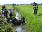 Prio 2 Dier te Water Paard Dykhuzen Gerkesklooster